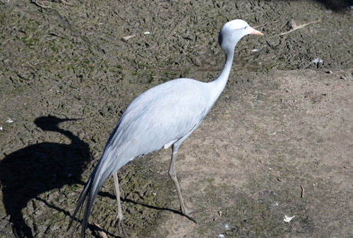 World of Birds Wildlife Sanctuary.